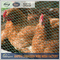 galvanized chicken wire mesh